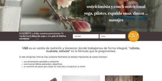 vegetablesandbeans.com preview